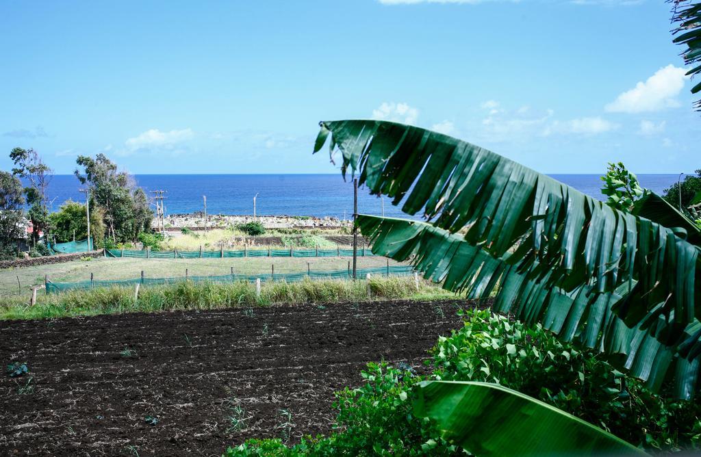 Cabanas Keuhenua Hanga Roa Buitenkant foto