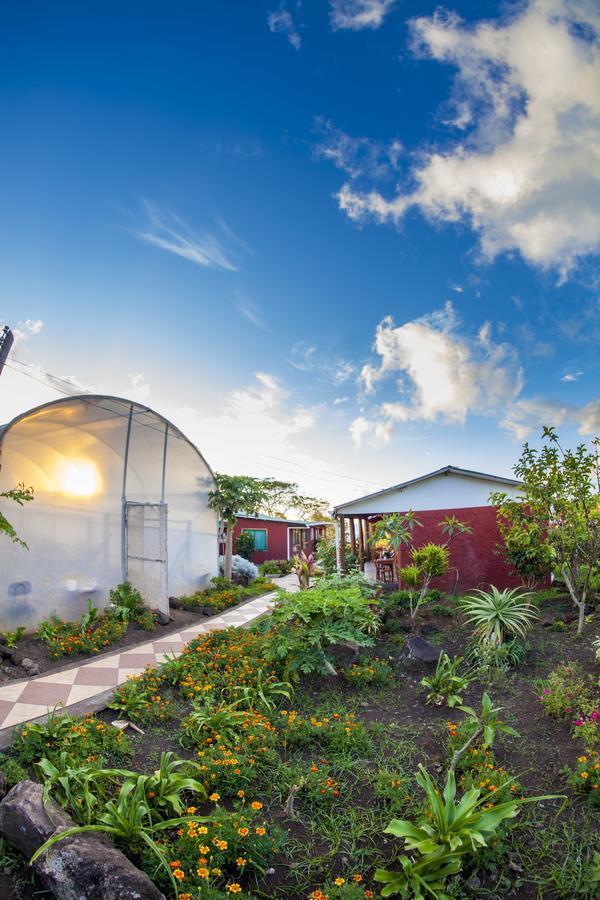 Cabanas Keuhenua Hanga Roa Buitenkant foto